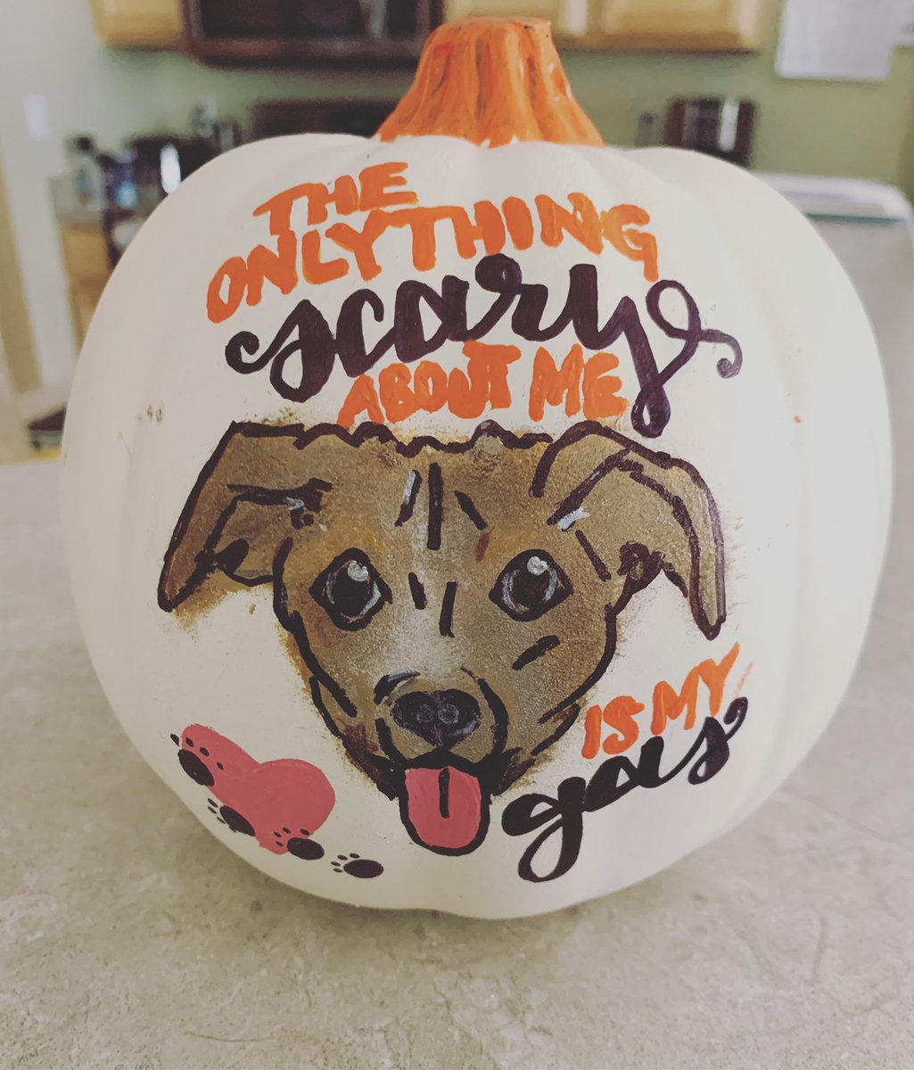 brikay26's tweet photo. Pitties aren’t scary (unless their owners are a**holes) but their gas sure is deadly #gassyaf #pittieprobs #lovemypitmix https://t.co/wWHIw42DJg