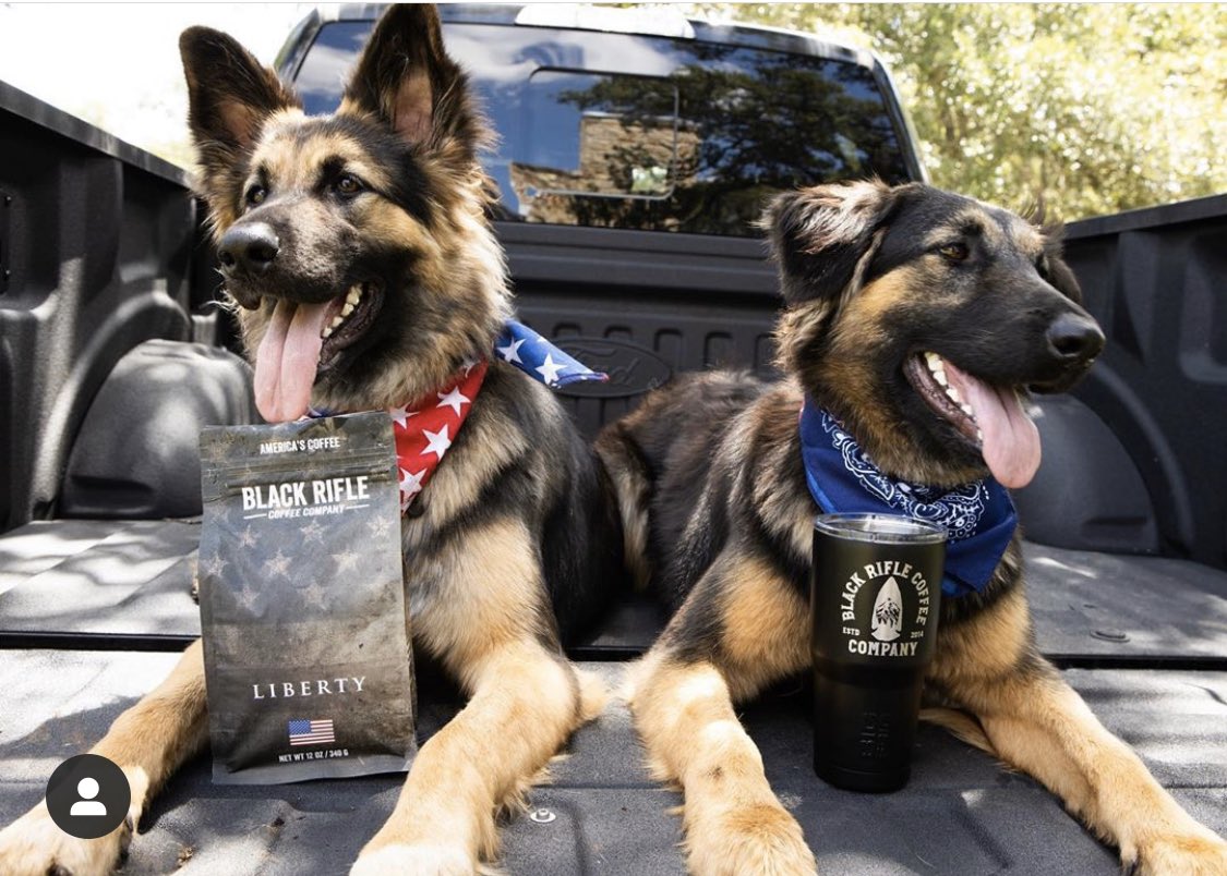 blckriflecoffee's tweet photo. Left or Right? You can only choose one doggo. #brcc #dogsofblackrifle https://t.co/eSrlDnZywi
