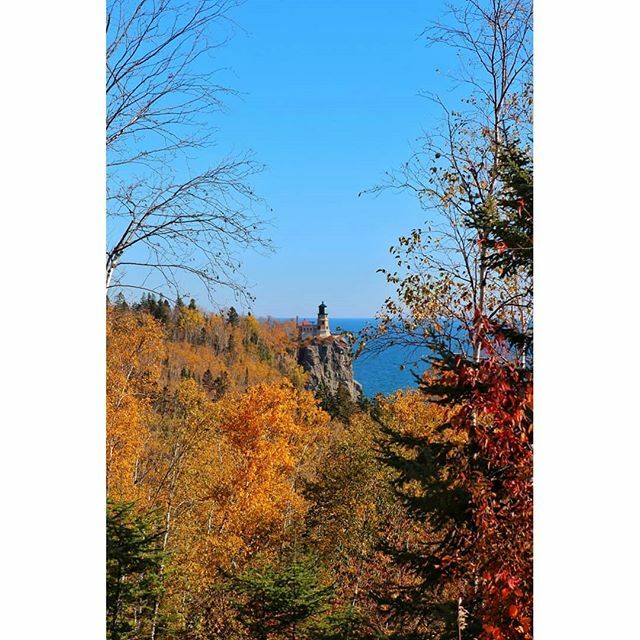 Shansapp's tweet photo. It's happening!!
.
.
.
.
#fallcolors #changingleaves #redyelloworangegreen #allofthecolors #lakesuperior #northernminnesota #upnorth #twoharbors #muchlatergram #fallishere #fall #nerdgirlfall #lovemesomefall https://t.co/BLtUjtX34M https://t.co/DB1BGeUtCm