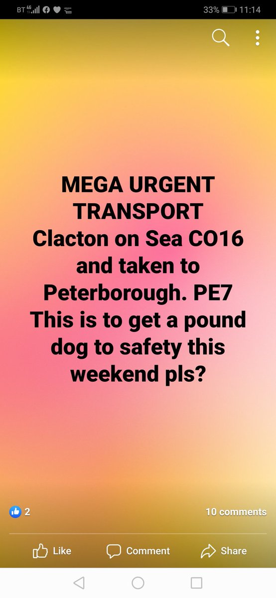dogbus999's tweet photo. Are you able to help please? #clactononsea Clacton on Sea Co16 to #Peterborough Peterborough PE7
To help a dog who's time is up get to the safety of their rescue placement 😍 If you can help please DM #dogbus #rescue #transportrequest https://t.co/8DiMgahl0P
