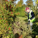 Photo by Maynooth Tidy Towns Association (@MaynoothTT)