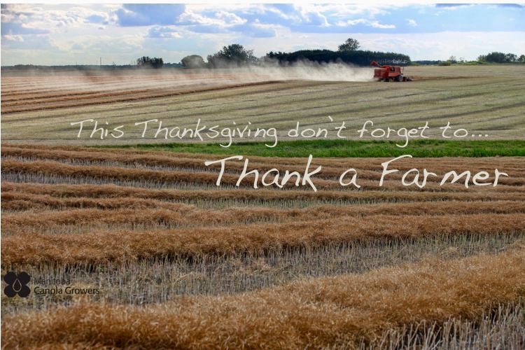 NonGMOToronto's tweet photo. Happy Thanksgiving! 🍂🦃🥧 #Canadian #Thanksgiving #knowyourfarmer #thankafarmer #hugafarmer #organicfarmer #chooseorganic #nongmo #gmofree #glyphosatefree #organic #localandorganic #regenerativeagriculture #organicmatters #nongmotoronto https://t.co/MTIqHISEMu