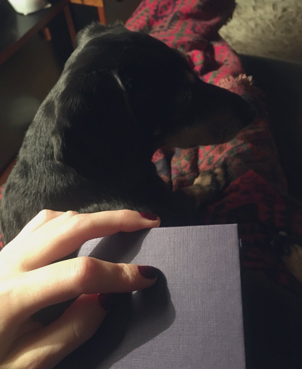 northnorth_west's tweet photo. Saturday night triptych.
#WeekendCold #BestMedicine #dachshund https://t.co/4nO1rkEZKu