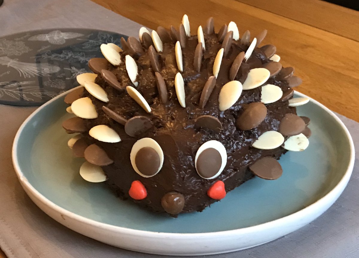 MagicalWildlife's tweet photo. #ExtraSlice Megan W from Wiltshire hedgehog 🦔 cutie cake https://t.co/zPyiICdgzA