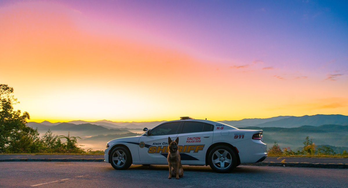 knoxsheriff's tweet photo. K-9 “ZOLI” has a lot of different talents, including knowing when a great photo opportunity arises! Breathtaking beauty in East Tennessee.
📷: Officer Bowers
#KCSO #ZOLI #WorkingDog #DavidShift #patrol https://t.co/ueJbS775jf
