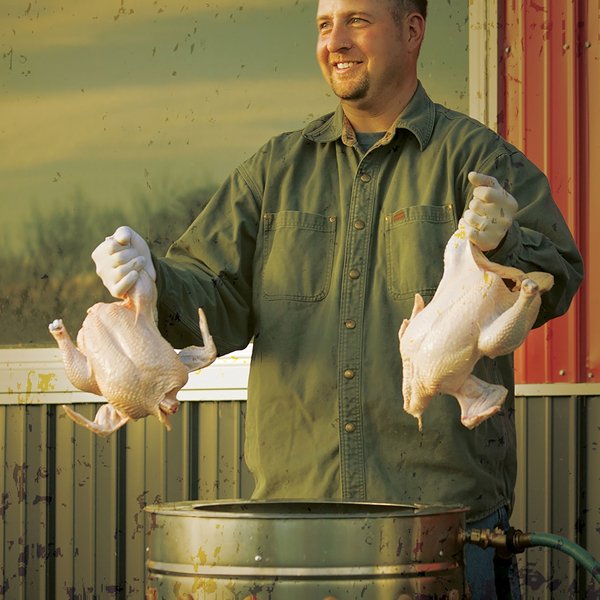 Community Chickens Cchickens Twitter