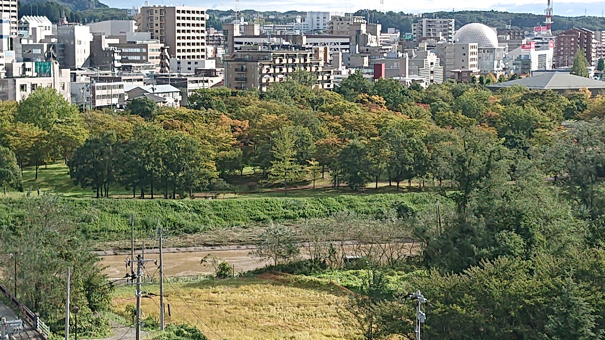 キャンディ 現在の七北田川 川の向こうが七北田公園 水位は危うく公園に溢れる寸前くらいまで上がったと思われます 草が茶色くなってる T Co 1hyp6jbaxt Twitter