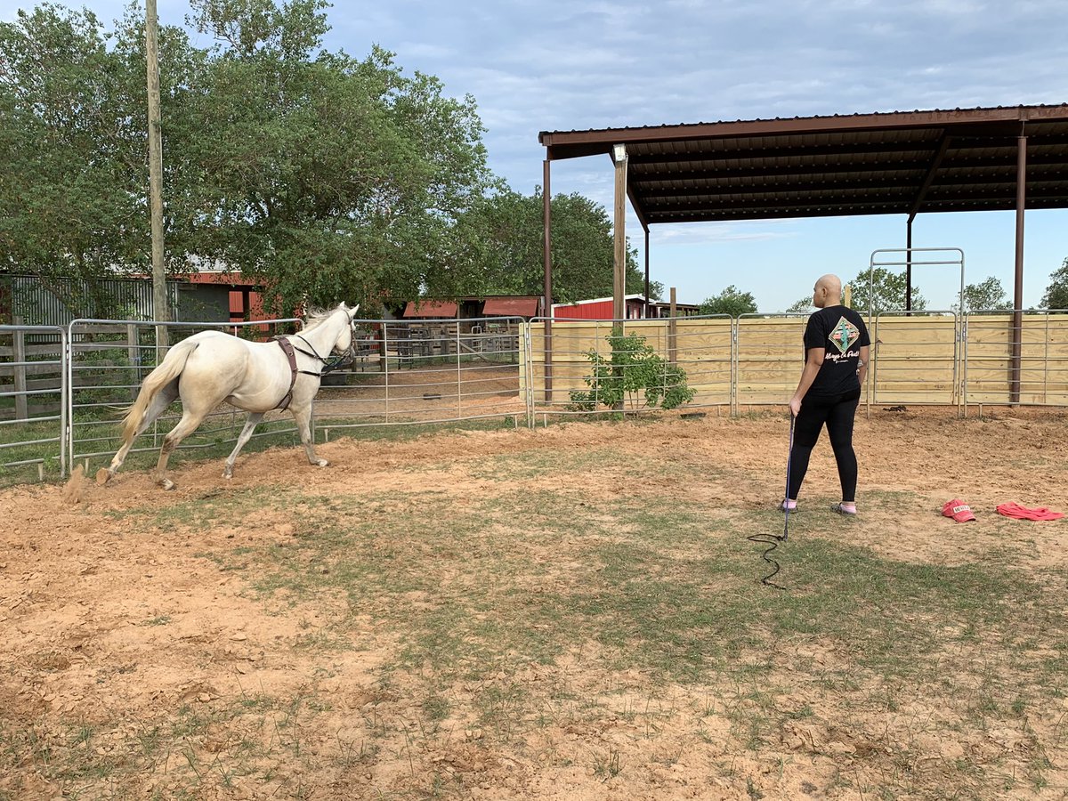 juliaafagbemi's tweet photo. can you believe i had chemo yesterday ?? already up and working horses :)) #cancerwho https://t.co/X3ZGdiIG1l