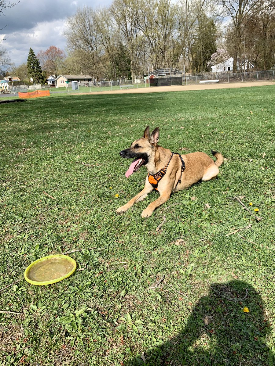 Please support my GoFundMe campaign: gofundme.com/f/1s5f0me1uo?u…