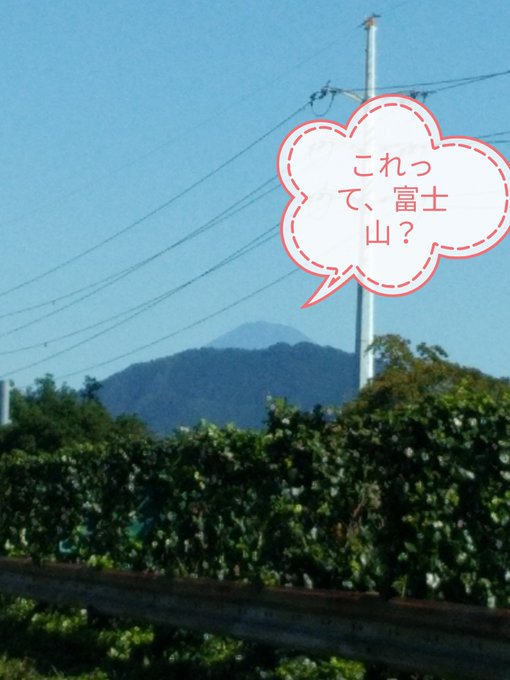 黒にゃご(せな)のTwitter画像35