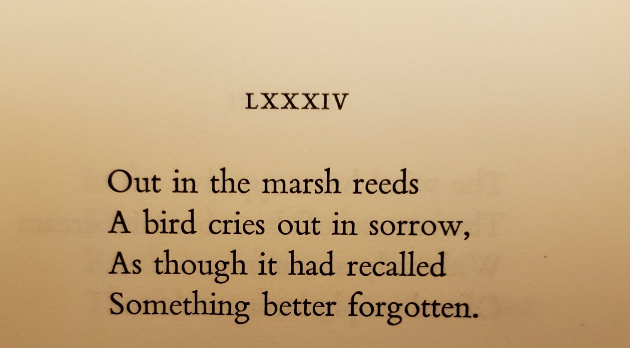 Michel Lara on Twitter: "In this evocative poem, the unseen ...