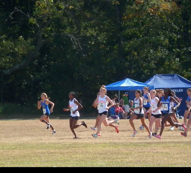 RickAmes4's tweet photo. Lowell girls at start of #ManhattanInvite , #lowellxc
Good race girls. https://t.co/kUk5HXyFsv