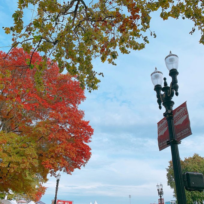 Twitterのコスプレ画像67