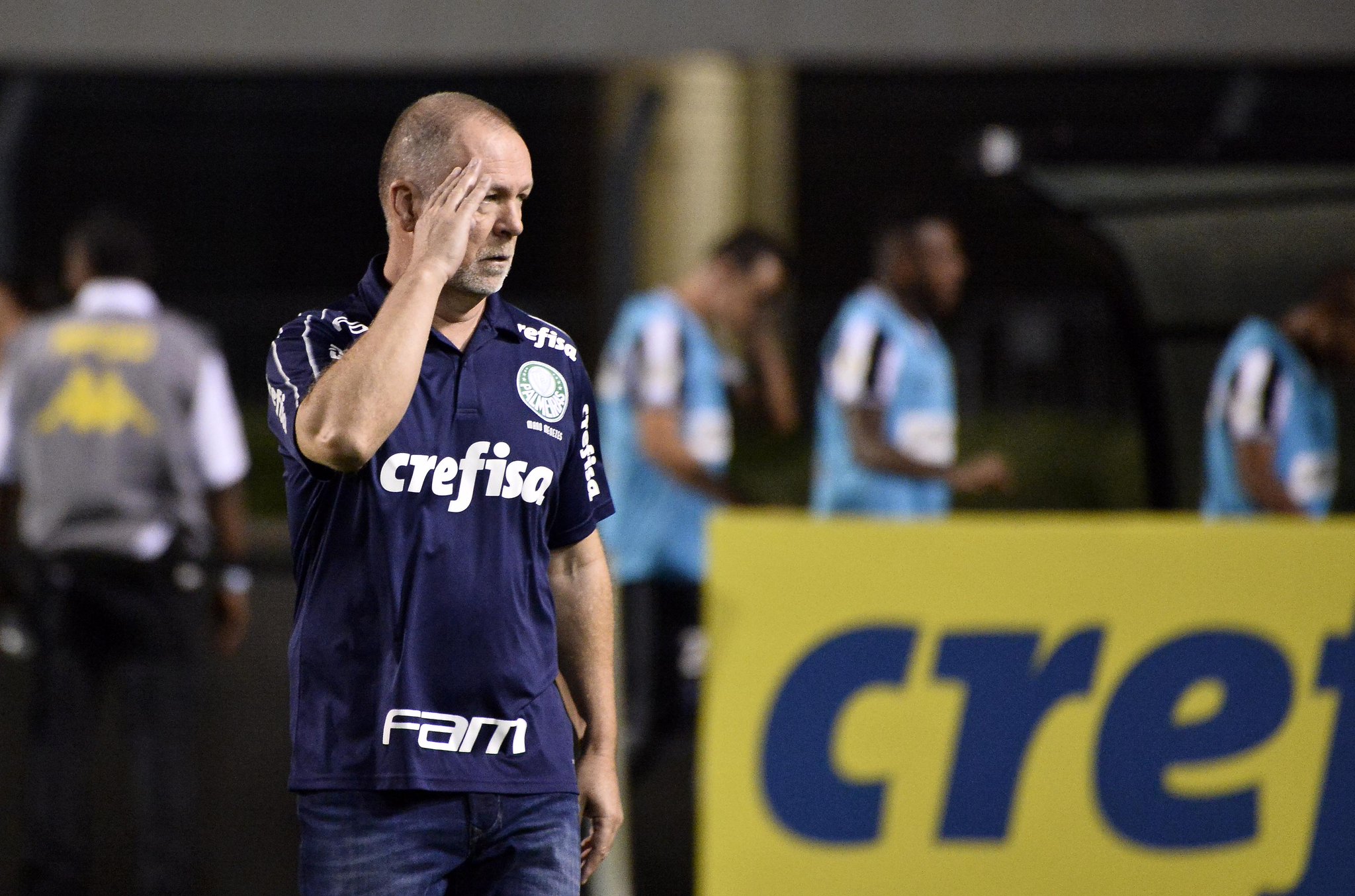[COMENTE] Como você avalia o desempenho do Palmeiras na vitória diante do Botafogo?