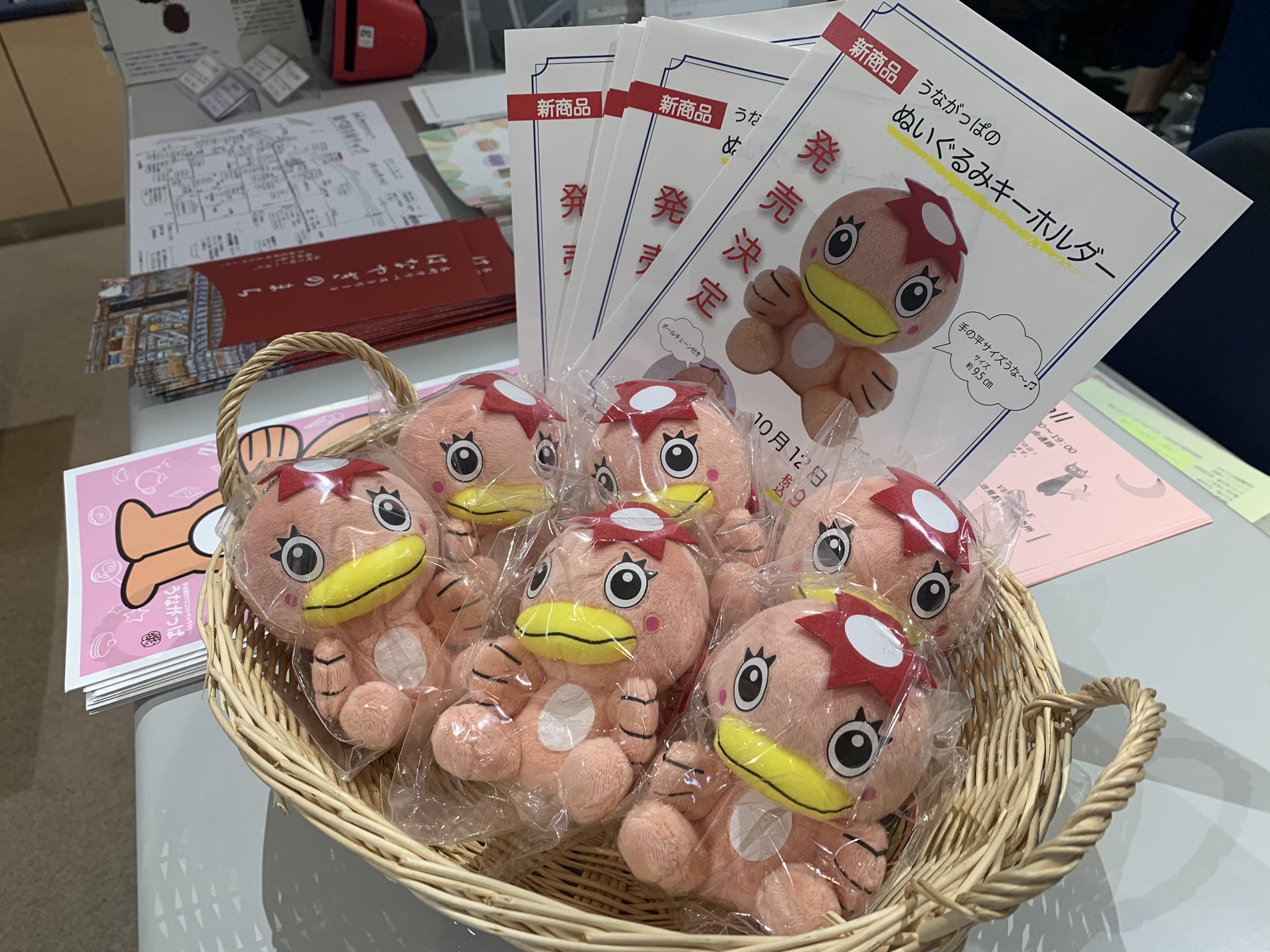 うながっぱPR隊＊うながっぱ情報 on X: 