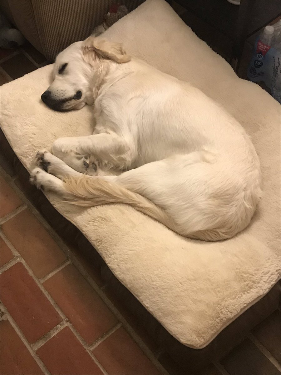 Karen & Remy tweet media