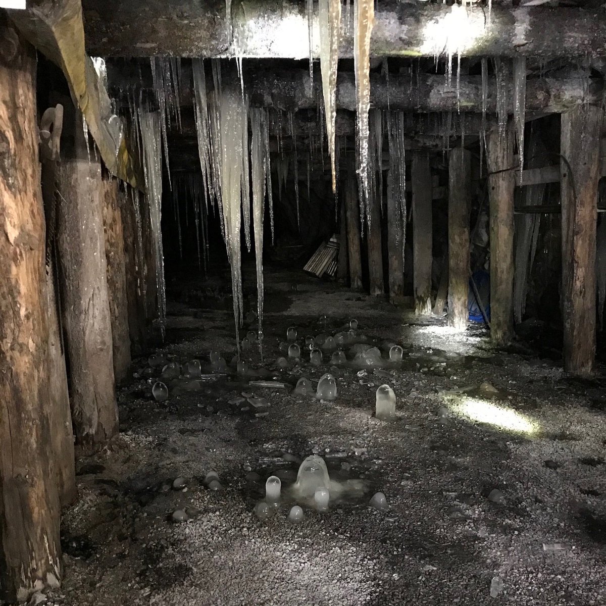 Leila_Armstrong's tweet photo. Inside the Bellevue Mine today. @BellevueMine #crowsnestpass #icebabyice https://t.co/KpG17itYJR