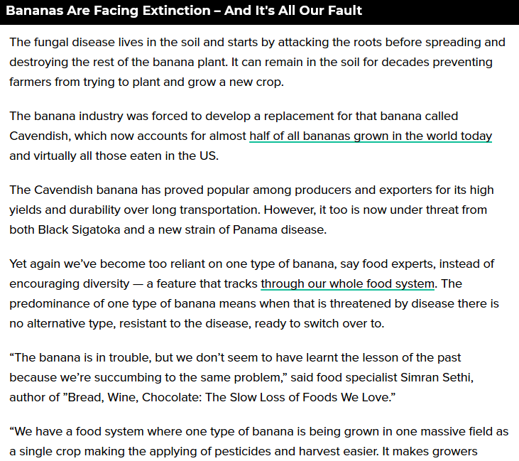 So we aren't actually eating bananas. Does that make anyone else think what is actually in the fruit we are being given. If drugs were put into fruit would that enable bad ppl to utilize MC on ppl without them even knowing it. Yes, I'm going there!