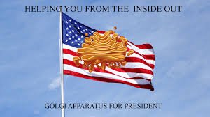 GolgiDa's tweet photo. #organelleWars https://t.co/ZO3PAKm71n