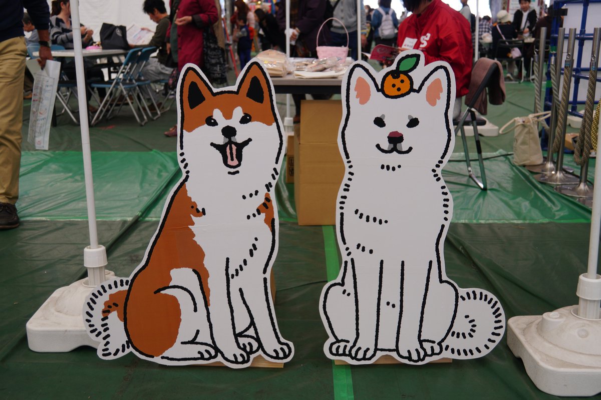 秋田犬検定 Akitainukentei Twitter