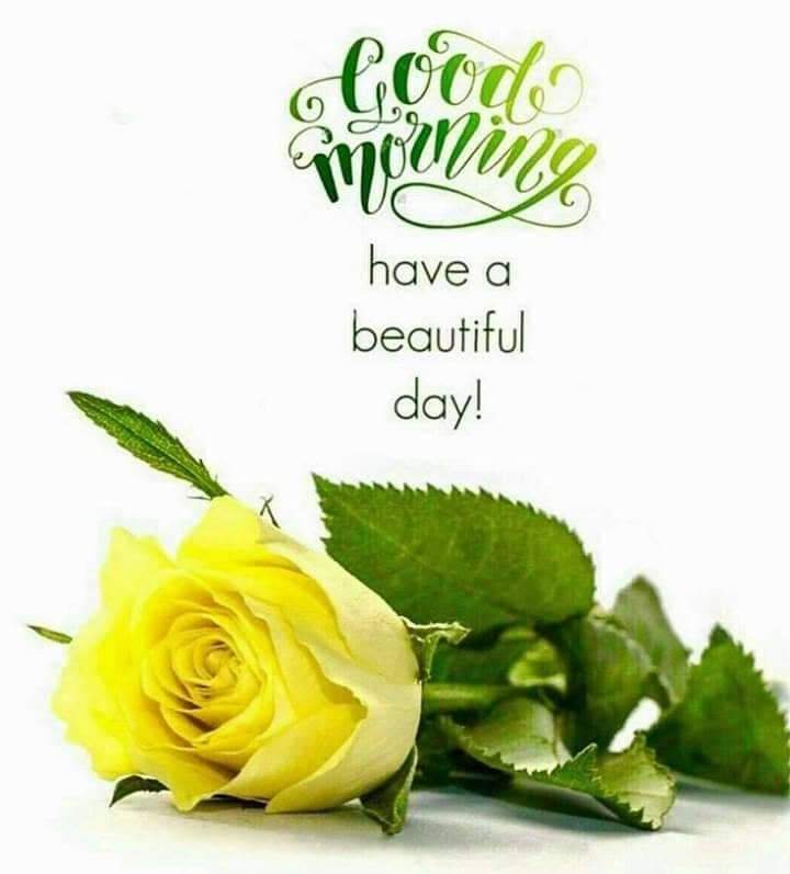 iamathiram's tweet photo. Good morning https://t.co/Mo5kPu6mbc