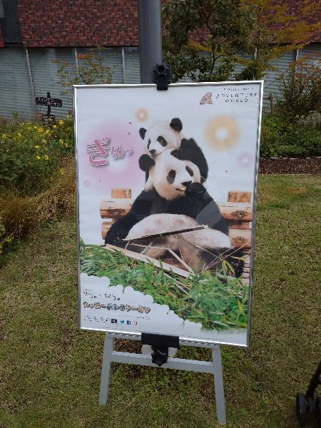 Z37971692's tweet image. アドベンチャーブース今年もかわいい～ #アドベンチャーワールド  #Asiaweek