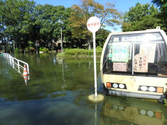 台風19号 東武動物公園が浸水 埼玉県南埼玉郡宮代町付近で冠水 心配の声 まとめダネ 台風19号 東武動物公園が浸水 埼玉県南埼玉郡宮代町付近で冠水 心配の声 まとめダネ