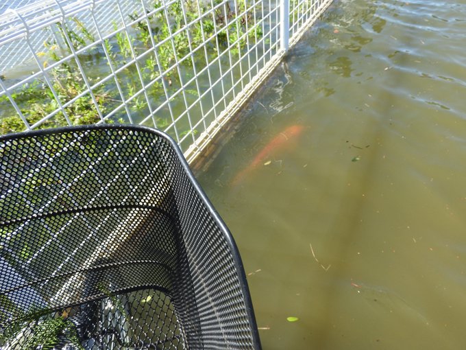 台風19号 東武動物公園が浸水 埼玉県南埼玉郡宮代町付近で冠水 心配の声 まとめダネ 台風19号 東武動物公園が浸水 埼玉県南埼玉郡宮代町付近で冠水 心配の声 まとめダネ
