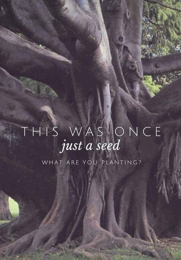 Char22204433's tweet image. #RobertParker 
is the #Bombdiggity
One of my favorite
#Authors of all time...
Highly recommend 
*Anything he has written
Adult*Kids*Fantasy
He's an amazing
#Storyteller