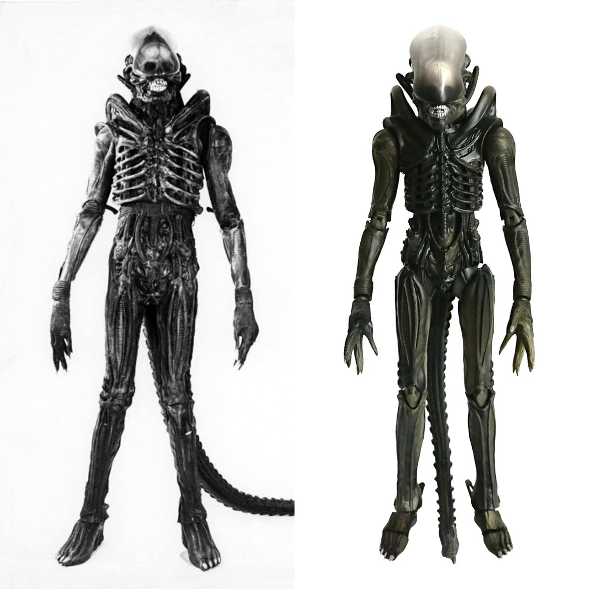 JurassicBap's tweet photo. Comparison Movie & Medicom! #Medicom #MedicomToy #MAFEX #40thAnniversary #Alien #Alien40thAnniversary #40YearsOfAlien #HRGiger #Giger #PerfectOrganism #BigChap #Xenomorph https://t.co/4ubHIyx2kr