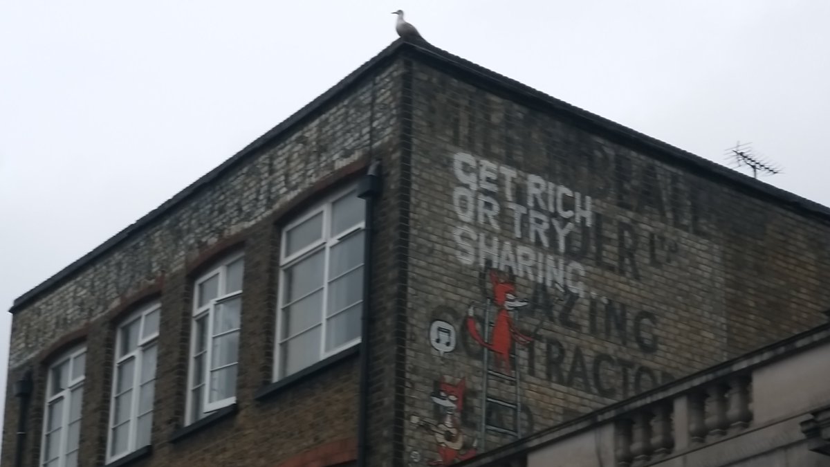 wasn't fully looking for #ghostsigns on #londonwalk yesterday but managed to find these gems in #highgate and #camden accordingly @ghostsigns