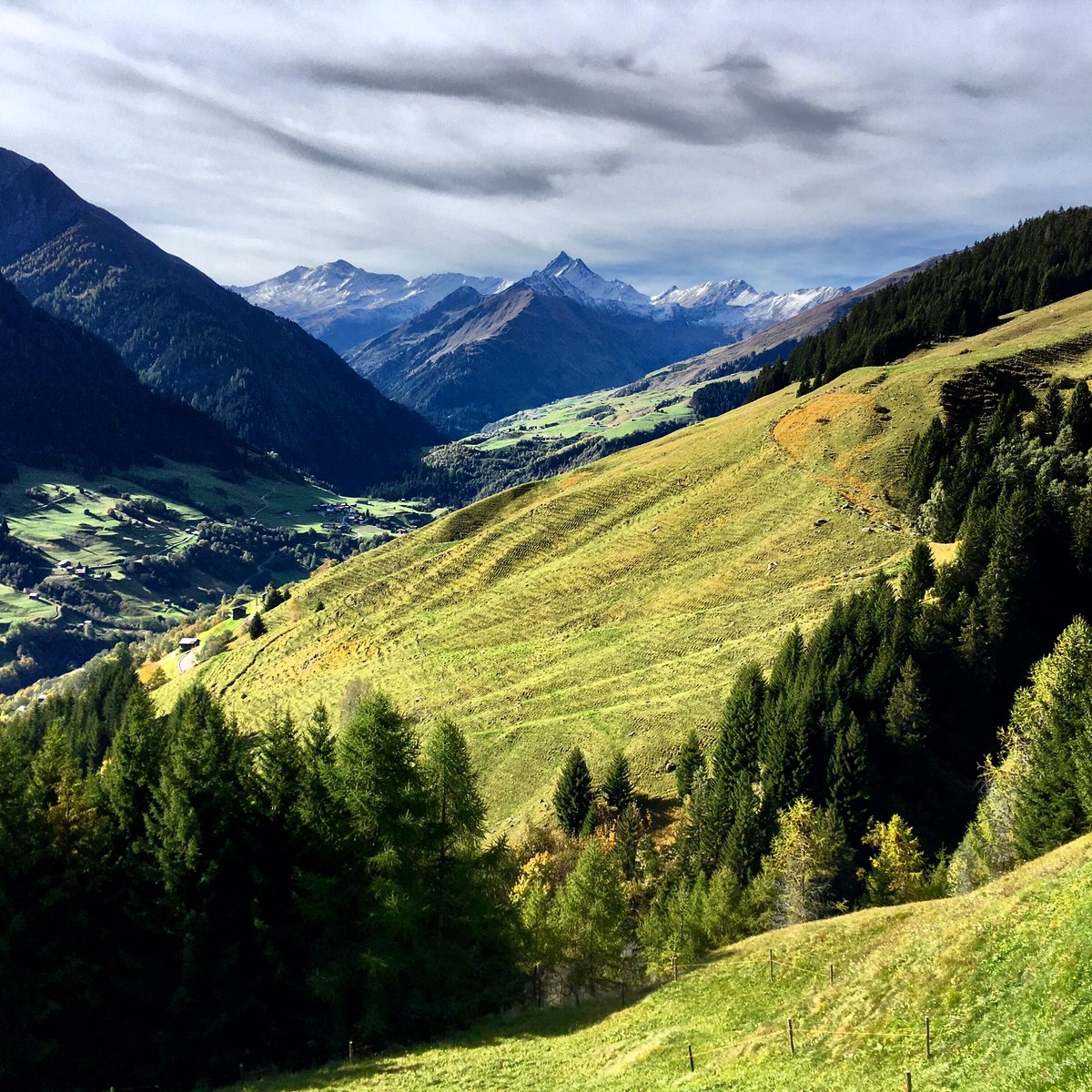SilviaWetter's tweet photo. Mein Berg, mein Ziel - Piz Terri.🥾🥾🏔☀️ #traumhaftertag #Herbst #wonderland #Vella #Lumbrein #Obersaxen #pizterri #Sezner #Mundaun #ValLumnezia #Surselva #InLoveWithSwitzerland #silviawandert @MySwitzerland_d @SurselvaTourism @Graubunden https://t.co/orl32kIF6o