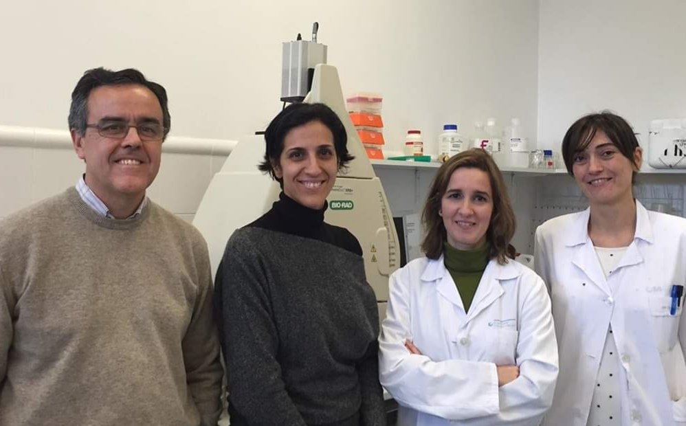 APUpablougarte's tweet photo. #APU8
Proyecto de investigación de leucemia linfoblástica aguda en el Hospital Niño Jesús de Madrid @UCIP_HNJ, financiado por la APU desde 2014.

Es el cáncer más frecuente en la infancia, aunque los tratamientos actuales consiguen curar ya al 80% de los niños enfermos. https://t.co/gQrrLgawKL