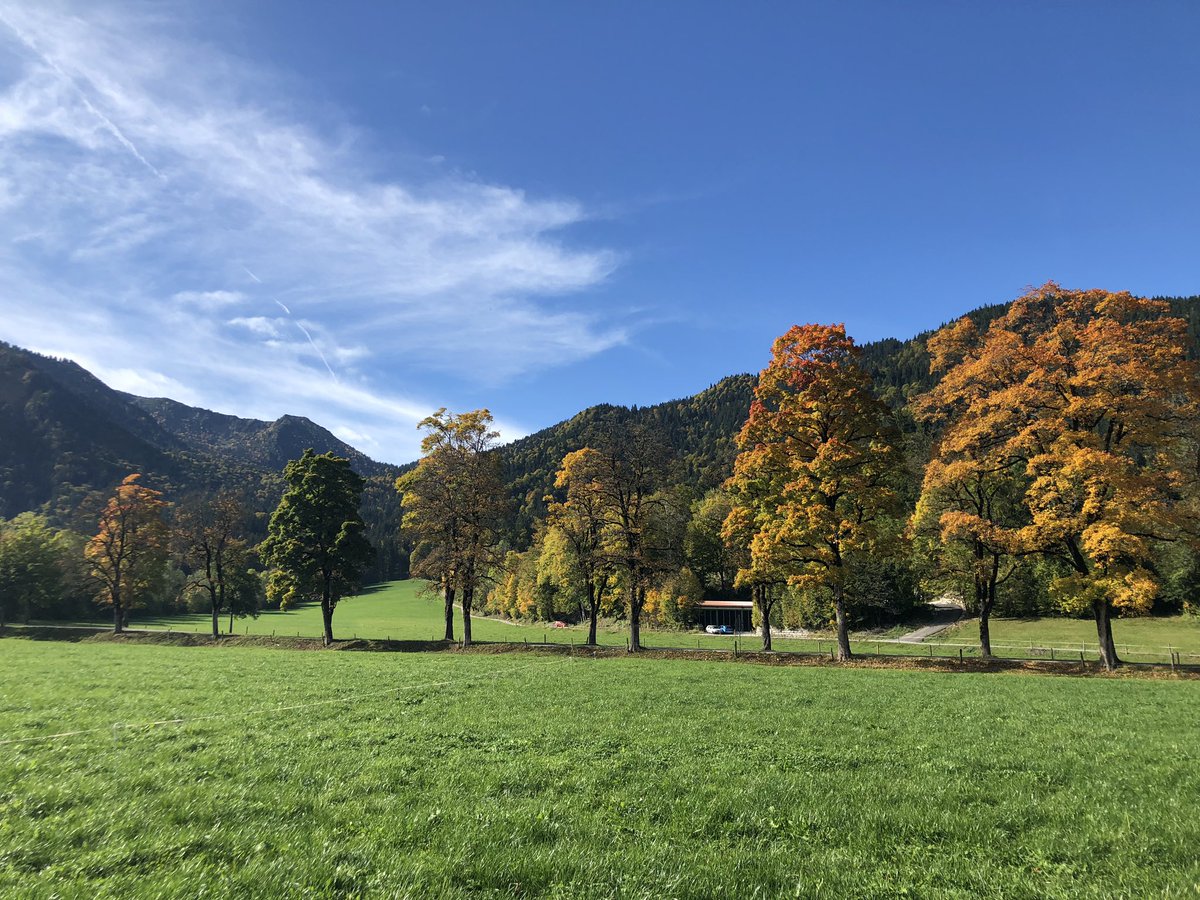 KatjaRiedel's tweet photo. Nach dieser Woche voller erschreckender Nachrichten einfach mal innehalten. #BavarianSummer https://t.co/ZdlXKIJn3q