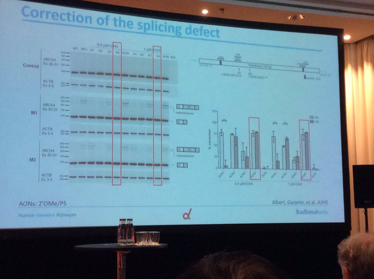 OTSociety's tweet photo. #spliceswitching #oligonucleotides can correct disease-associated mis-splicing https://t.co/jkgMISbl2X
