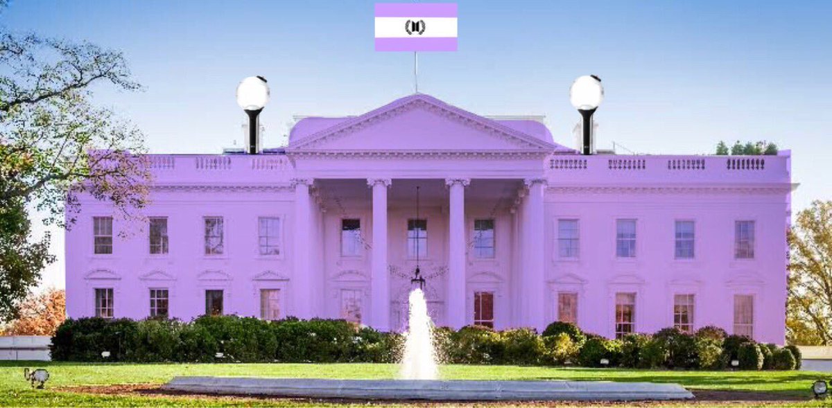 Our flag design was quickly decided, as was the residence of the President, The Purple House. There were debates for designating our national flower (Smeraldo), our national animal (Yeontan), our national food (I think it was churros?) and designs under review for our currency.