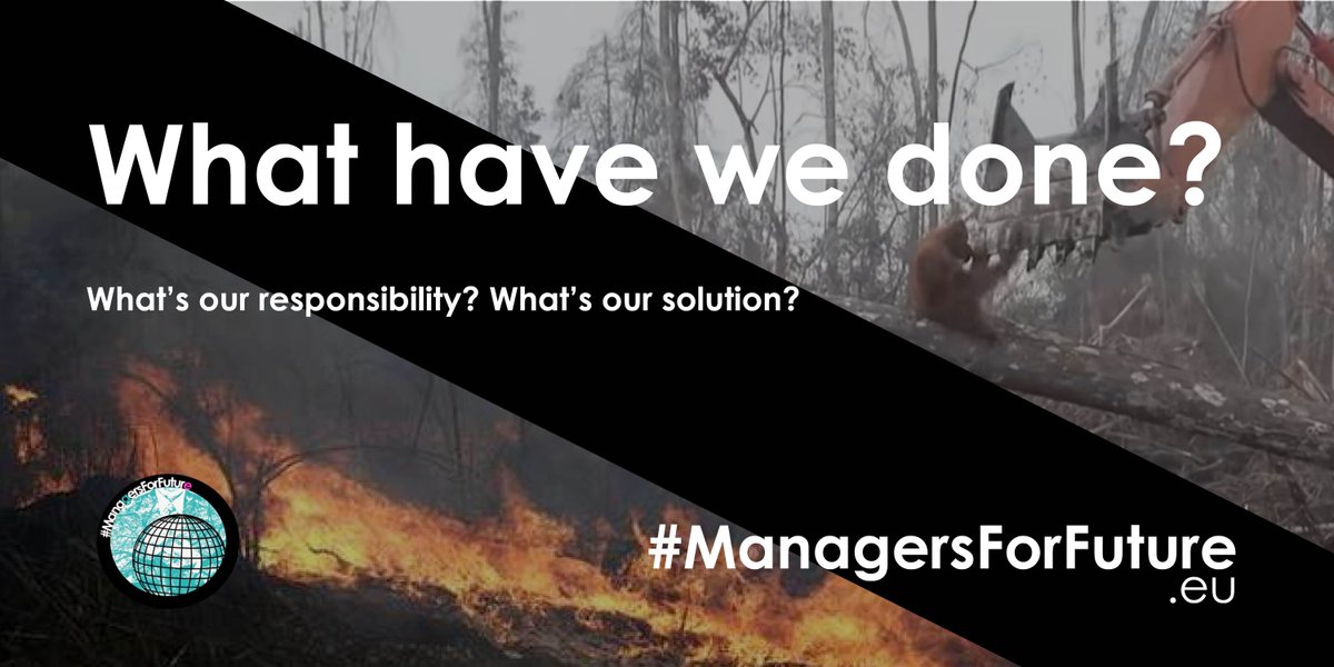 CEC_Managers's tweet image. Responsible economies do not accept sourcing minerals, soy or palm oil from threatened habitats and communities. Know your #SupplyChain. 

#ManagersForFuture #EuropeanGreenDeal #SaveTheAmazon #ClimateBreakdown #SystemicCollapse #OrangUtan #Biodiversity #duediligence #EUTrade