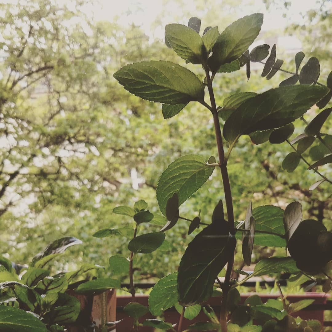 carloderkaefer's tweet image. 