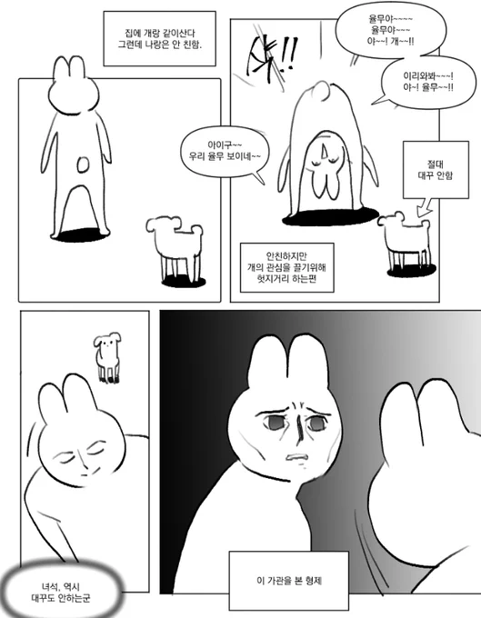 개의 관심 