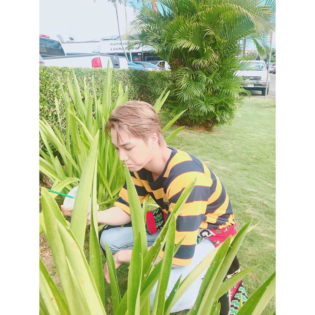 knockknock0408's tweet photo. KAI ins
@weareoneEXO https://t.co/JrACsqHZ0K