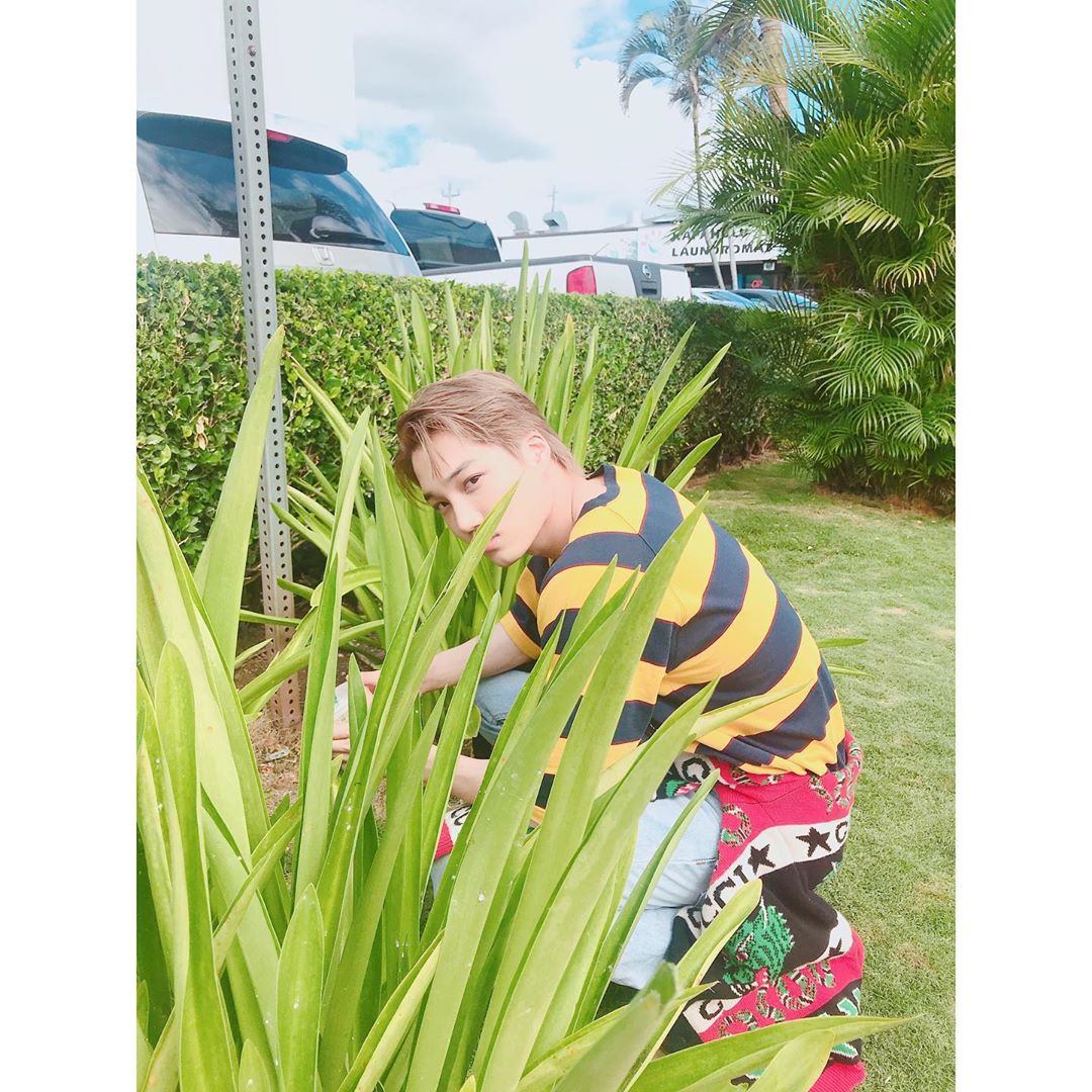 knockknock0408's tweet photo. KAI ins
@weareoneEXO https://t.co/JrACsqHZ0K