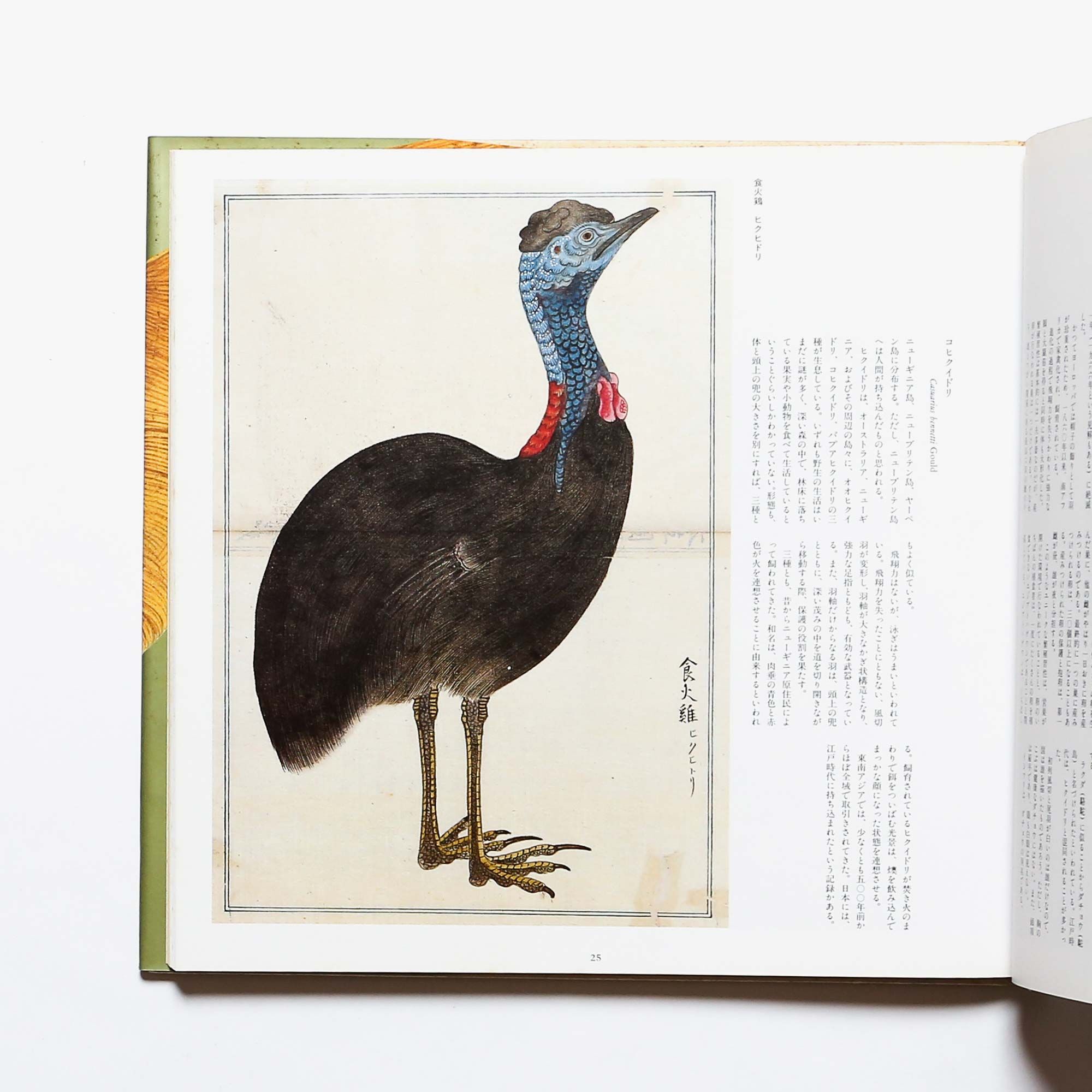 nostos books on X: 