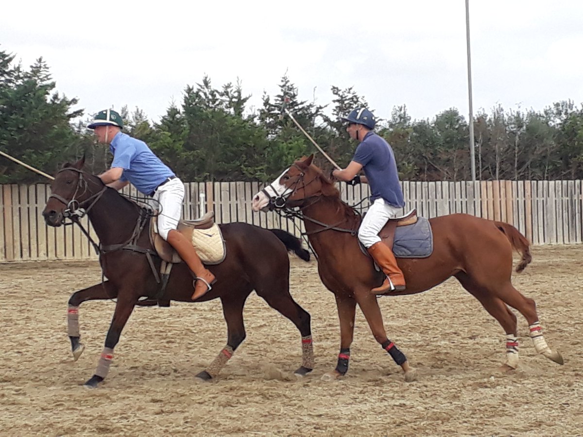 Follow us on Instagram! @malta_arena
#Malta #maltapolo #polomalta #arenapolo #lovepolo #poloplayers #Mediterranean #wintersun #poloponies #bestsport #thisispolo #travelingforpolo #pololove #lovemalta #lovinmalta #polopassion #poloclub #horsepolo #chukkas #horsestagram #lalowgoal