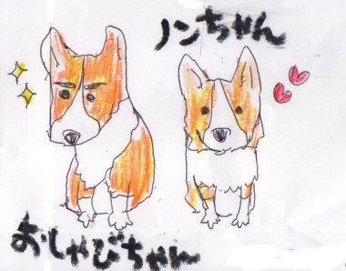 塩にぎり على تويتر インスタ Shionigiriume でフォローさせていただいているフォロワーさんのおうちのコーギーたちを描かせていただきました とてもかわいい毎日を過ごされているようで癒されます イラスト 犬 コーギー