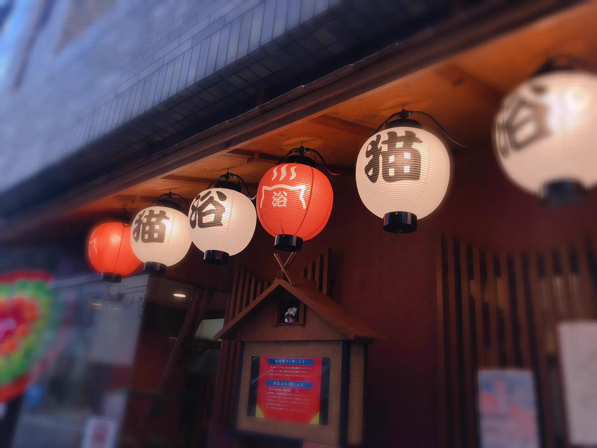 猫好きにはたまらない！！大阪・心斎橋にオープンした新感覚猫カフェ『ねこ浴場』