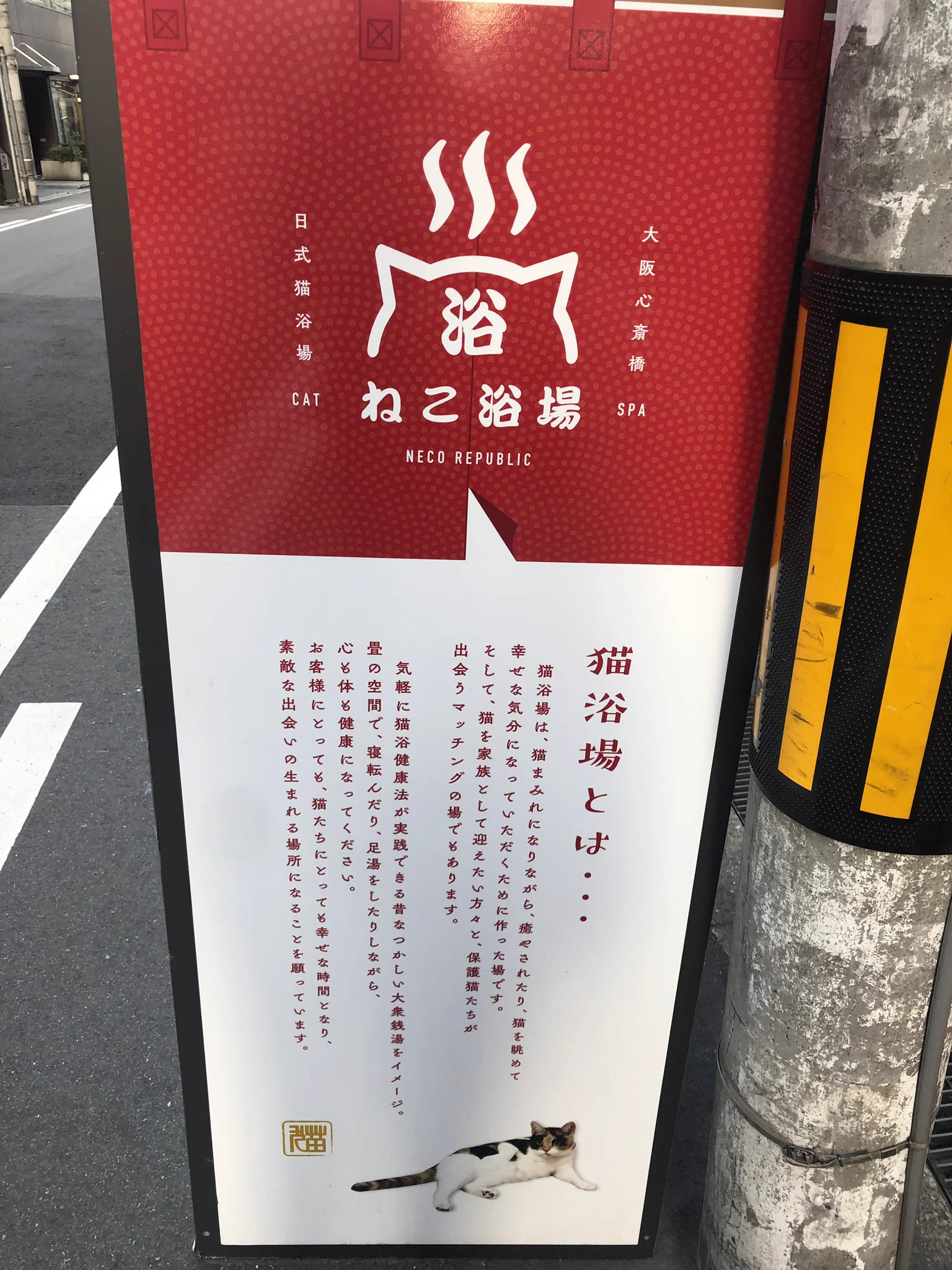 猫好きにはたまらない！！大阪・心斎橋にオープンした新感覚猫カフェ『ねこ浴場』