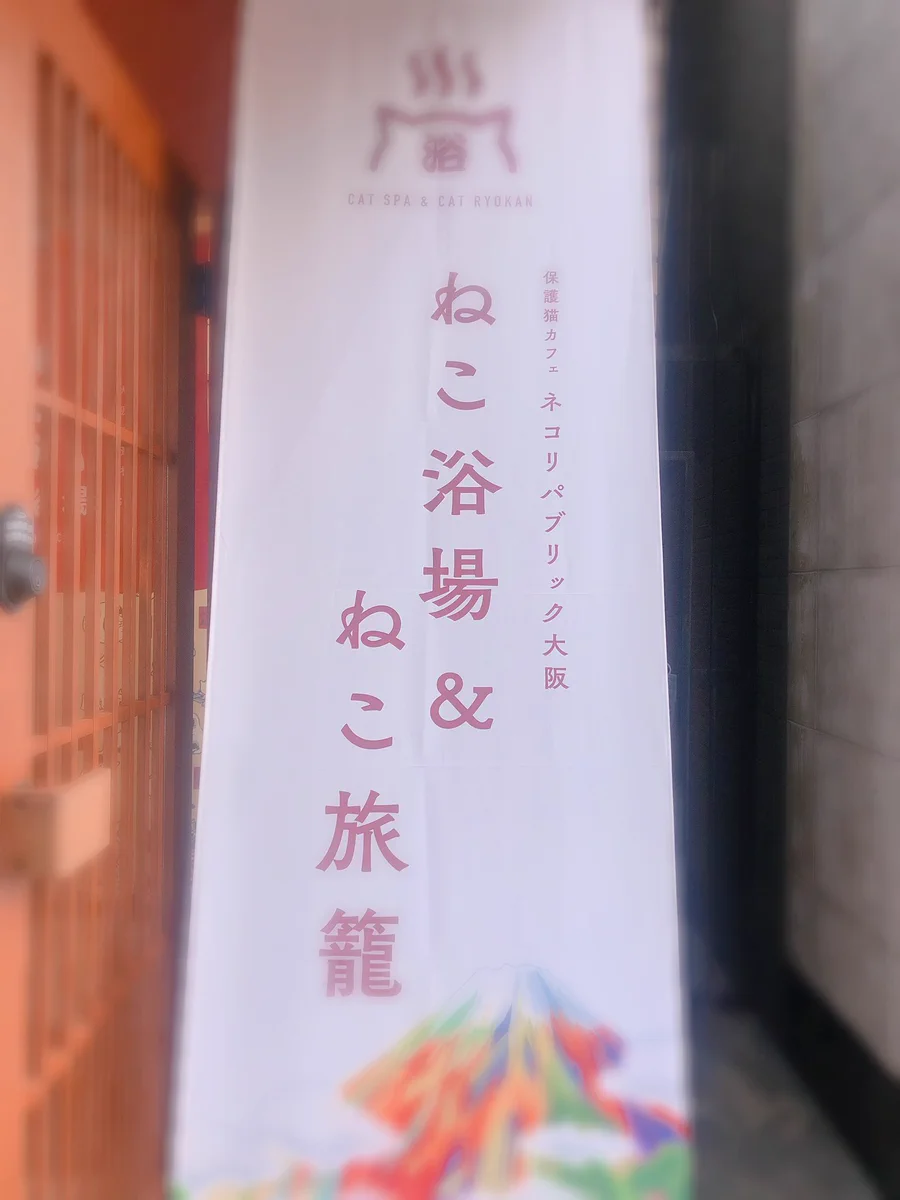 猫好きにはたまらない！！大阪・心斎橋にオープンした新感覚猫カフェ『ねこ浴場』