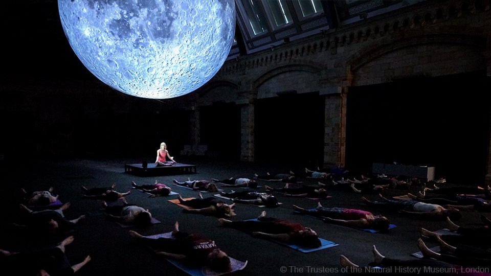 NHM_London's tweet image. Start your day in style. Rise and shine with #SlowFlow #Yoga under the Moon and receive free early morning access to #WPY55 on 21 October. #MuseumOfTheMoon nhm.ac.uk/events/yoga-cl…