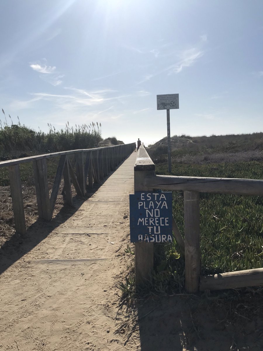 notthispath's tweet image. 🤚🏾Esta playa no merece tu basura 🔝

🔸 La playa del Palmar es un ejemplo de limpieza  y concienciación 😁👏🏽

Y vosotros, ¿cuál consideráis que es el estado de vuestras playas? 🌊