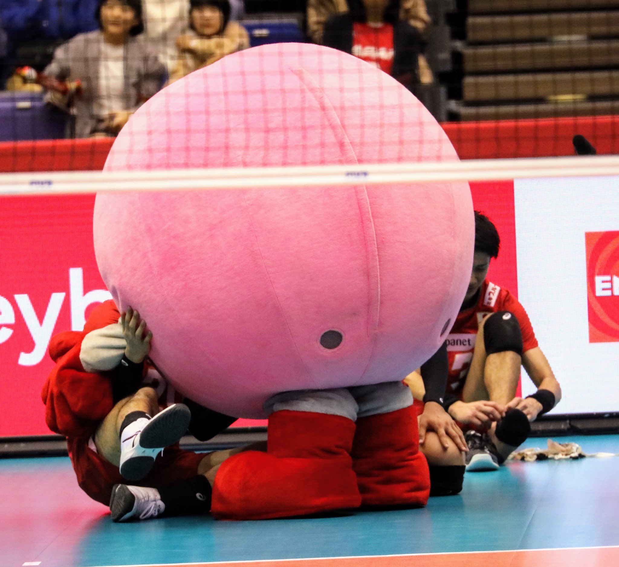 もつさん 大きな選手がバボちゃんと戯れるの可愛い 小野寺君2回転がされてたよ 笑 ワールドカップバレー 小野寺太志 大竹壱青 バボちゃんバボバボ もつさん 大きな選手がバボちゃんと戯れるの可愛い 小野寺君2回転がされてたよ 笑 ワールドカップバレー 小野寺太志 大竹壱青 バボちゃんバボバボ